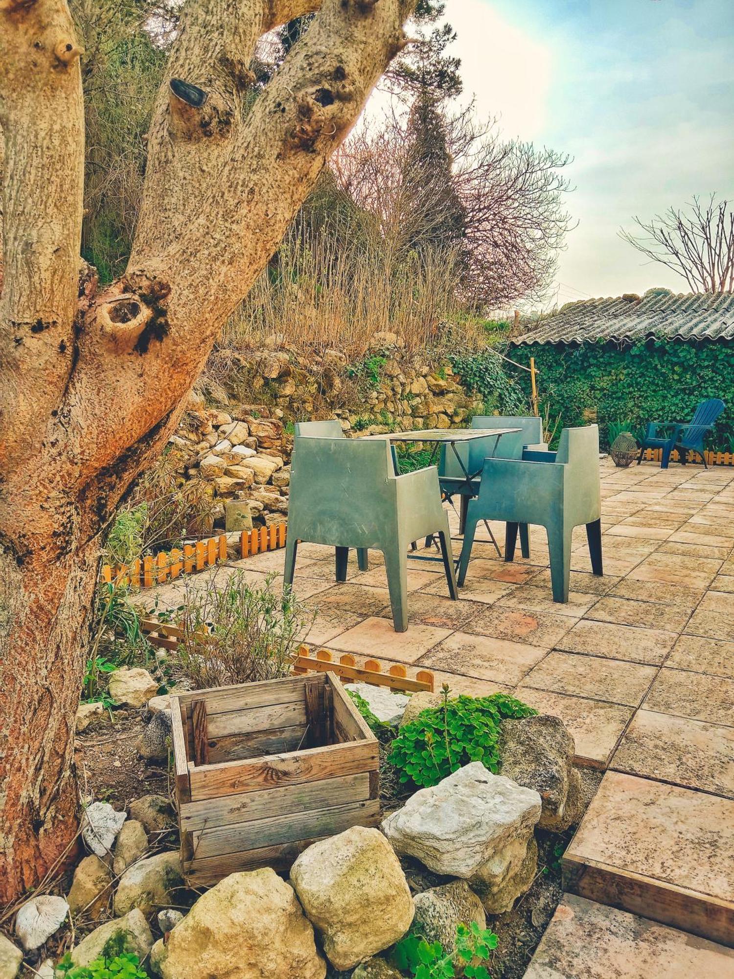Maison Cosy Ventoux Avec Jardin Vue Ventoux A 莫穆瓦龙 外观 照片