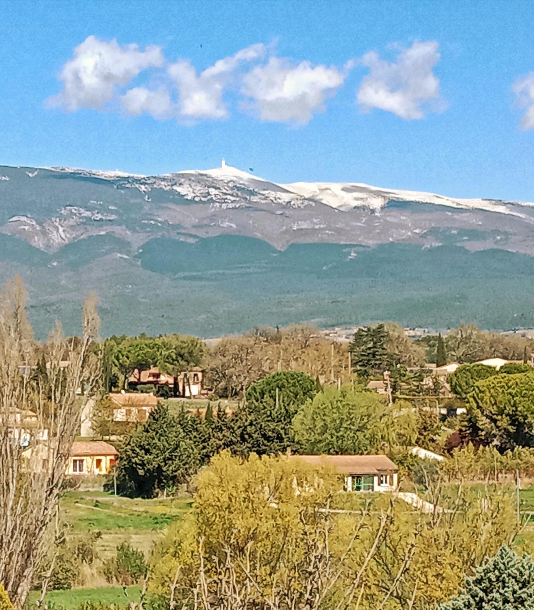Maison Cosy Ventoux Avec Jardin Vue Ventoux A 莫穆瓦龙 外观 照片